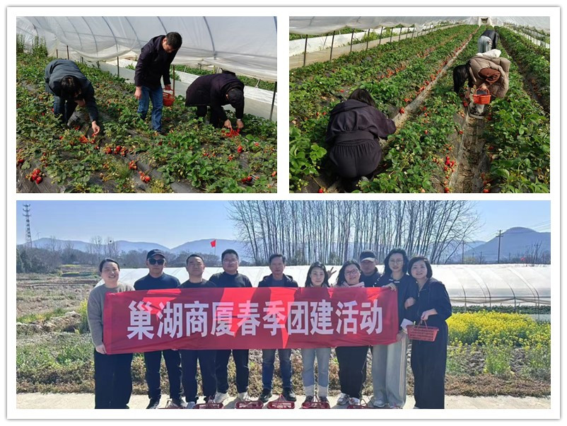 首页|yl6809永利集团有限公司官方网站